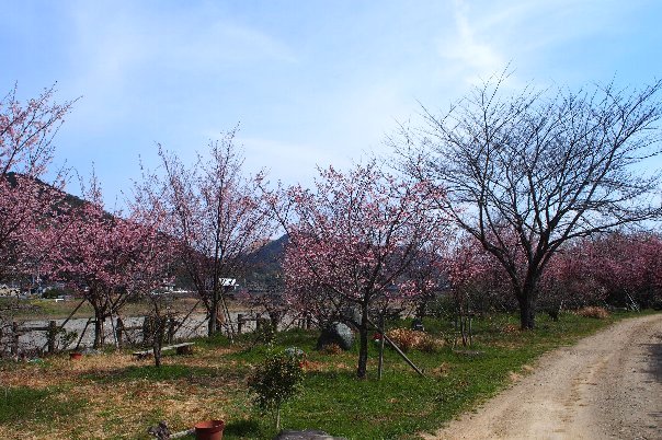 a0133211_22531480.jpg