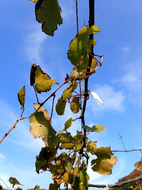 f0043911_14314857.jpg