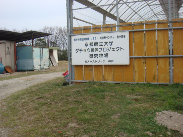 a0019212_16374871.jpg