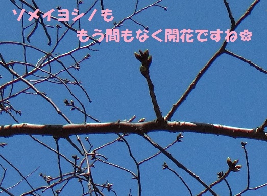 f0121712_06240132.jpg