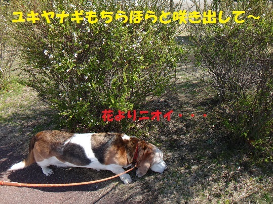 f0121712_06240459.jpg