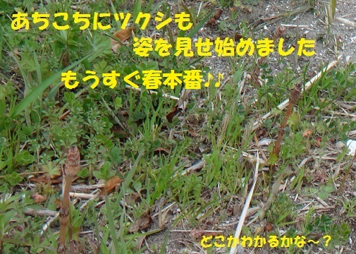 f0121712_06270635.jpg
