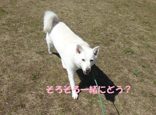 f0121712_06292882.jpg