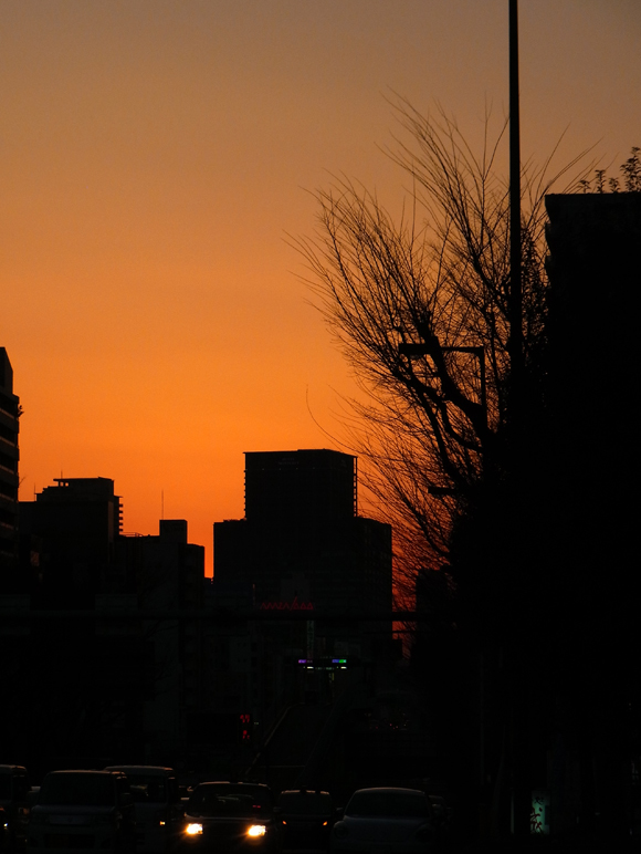 e0083517_01164440.jpg