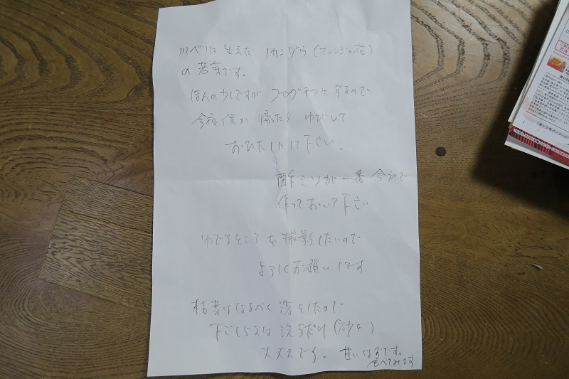 野萱草の酢味噌和え_f0076731_10472859.jpg