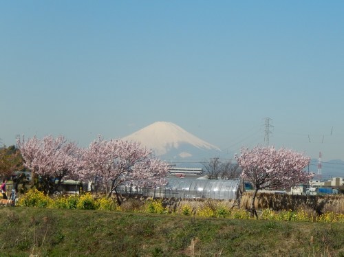 b0137932_17043256.jpg