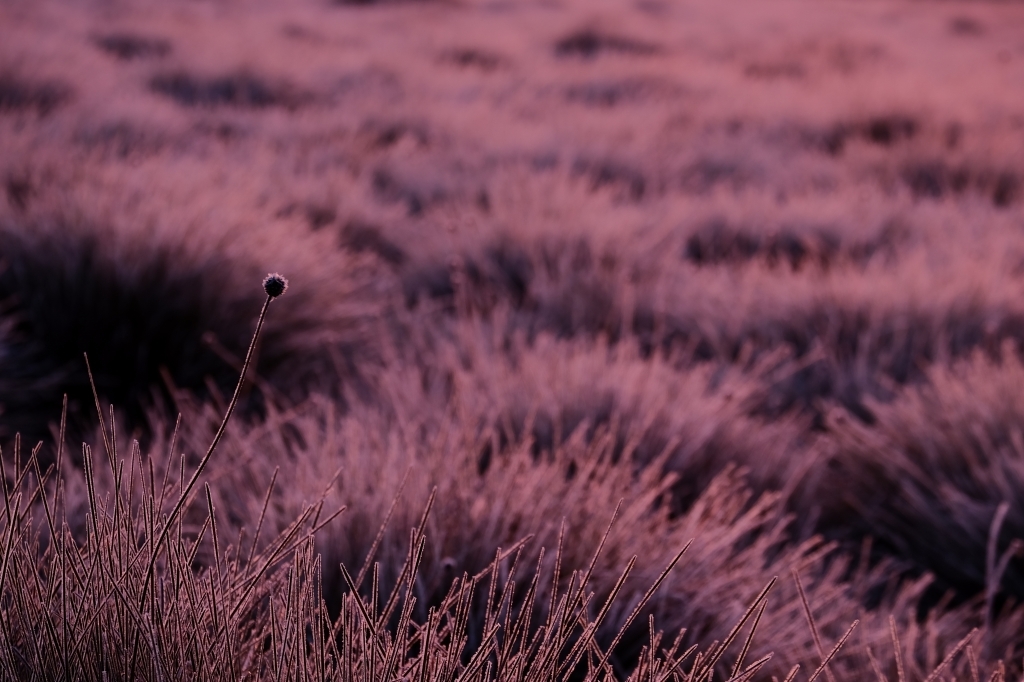 FUJIFILM WONDRE PHOTO SHOPで写真展開催の知らせ_f0050534_09404051.jpg