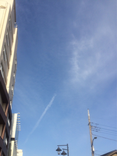 f0327534_10245146.jpg