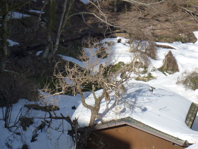 c0077835_04164839.jpg