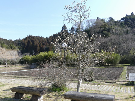 a0123836_1822062.jpg