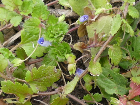 a0123836_1852080.jpg
