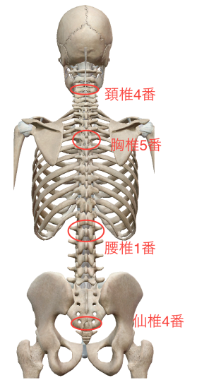 e0073240_08223349.png