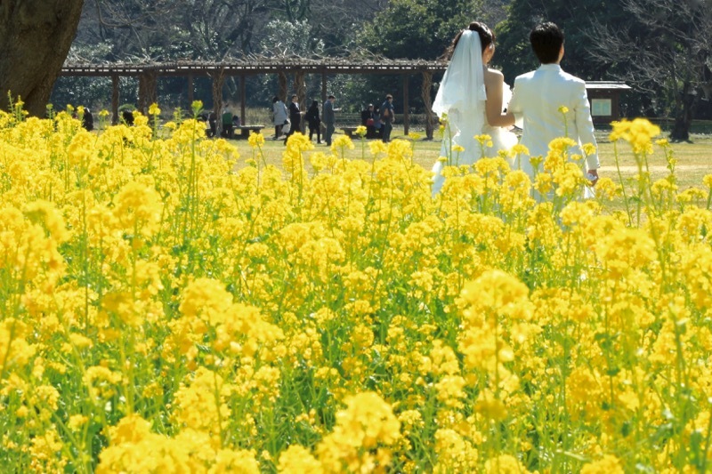 haru urara_a0271251_20005329.jpg