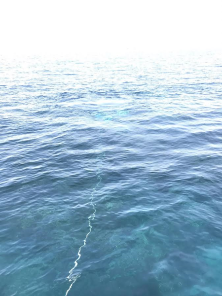 f0164662_15372199.png