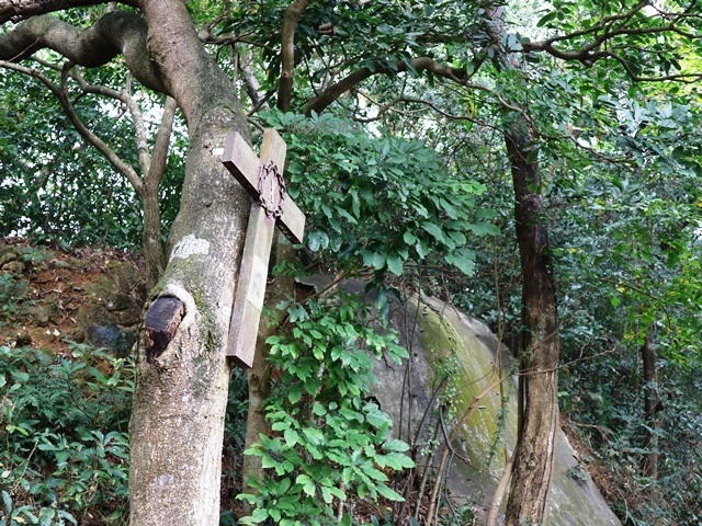 2度目の修道院 愉景灣から神樂院を経由して梅窩へ_c0135971_15090626.jpg