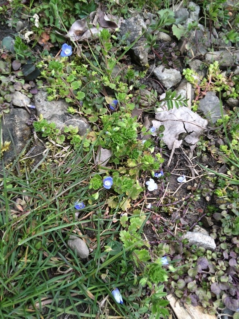f0379286_19431249.jpeg