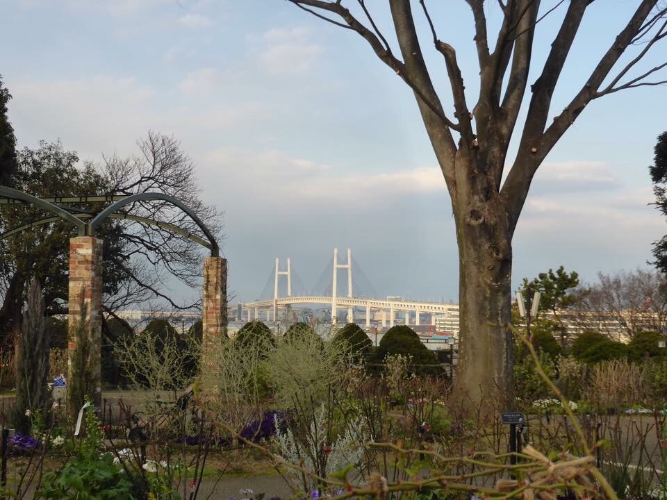 d0103296_20120061.jpg