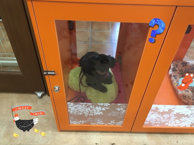d0269898_12295591.jpeg