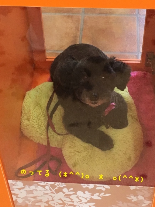 d0269898_12301418.jpeg