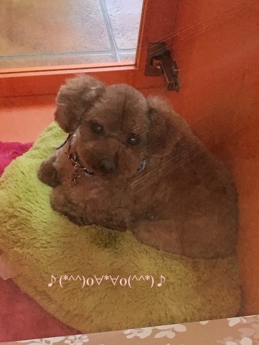 d0269898_12302557.jpeg