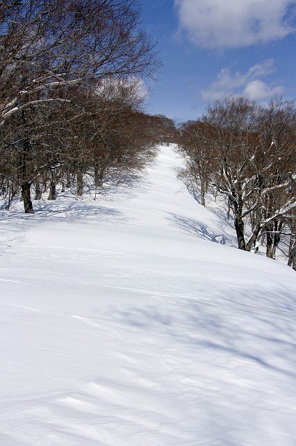 e0137200_1741531.jpg