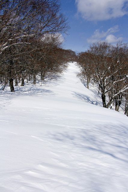 花染山。ブナ回廊を楽しむ。_e0137200_1741531.jpg