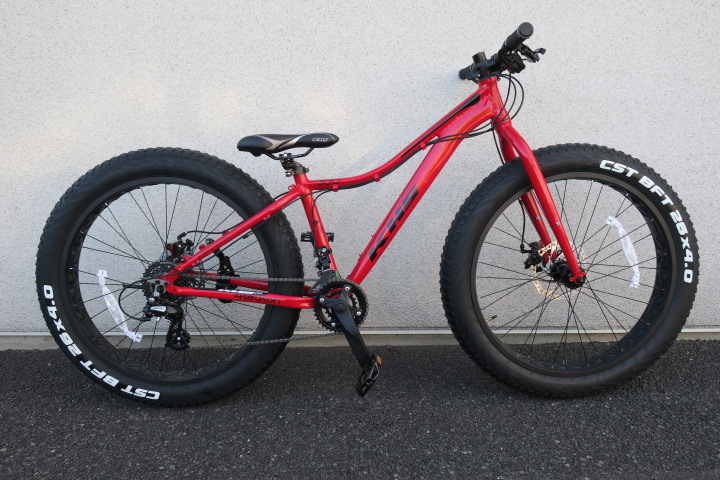 ATB-300 ファットバイク納車!_c0132901_18455224.jpg