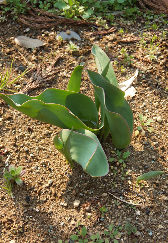 f0195002_12500038.jpg