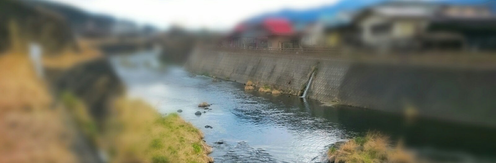f0266202_18114145.jpg