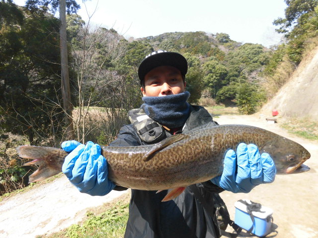 3月19日(土)晴れ_f0192504_11145438.jpg