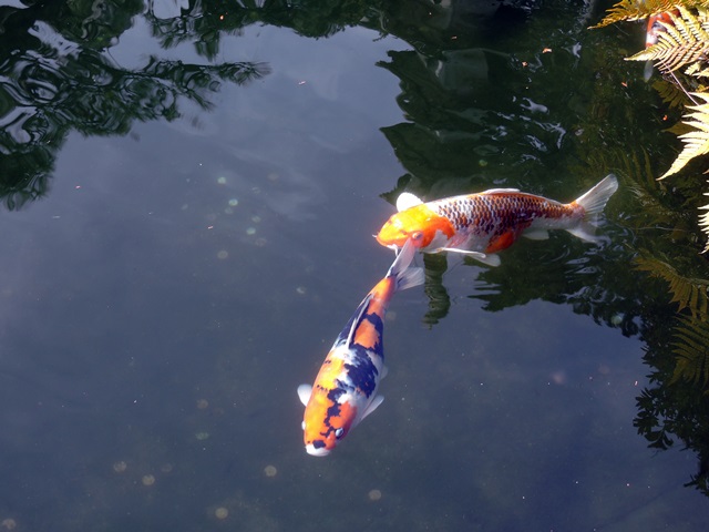 2017.3.3～4　浜名湖と豊川稲荷　その３_f0373905_13521949.jpg