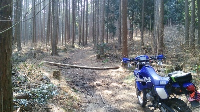 c0030607_16224445.jpg