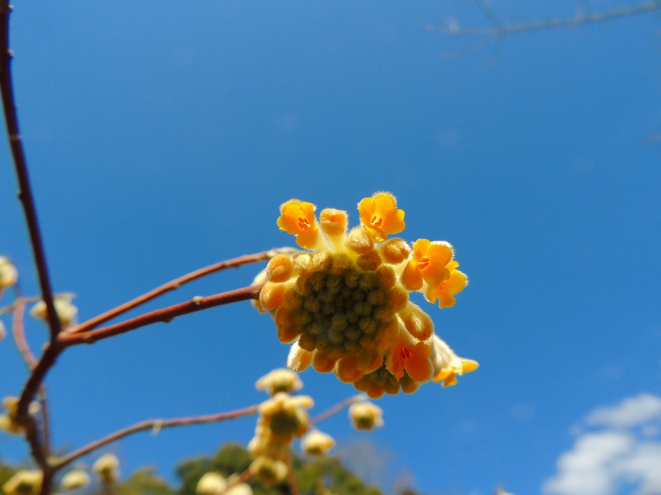 e0372207_12113445.jpg