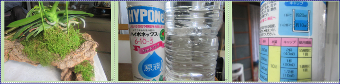 f0231709_21383922.png