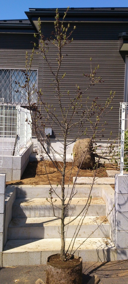 e0202111_2328986.jpg