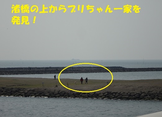 f0121712_15014305.jpg