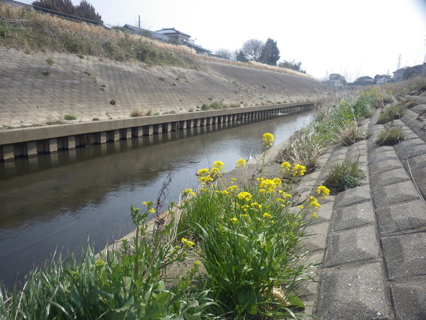c0022113_15524843.jpg