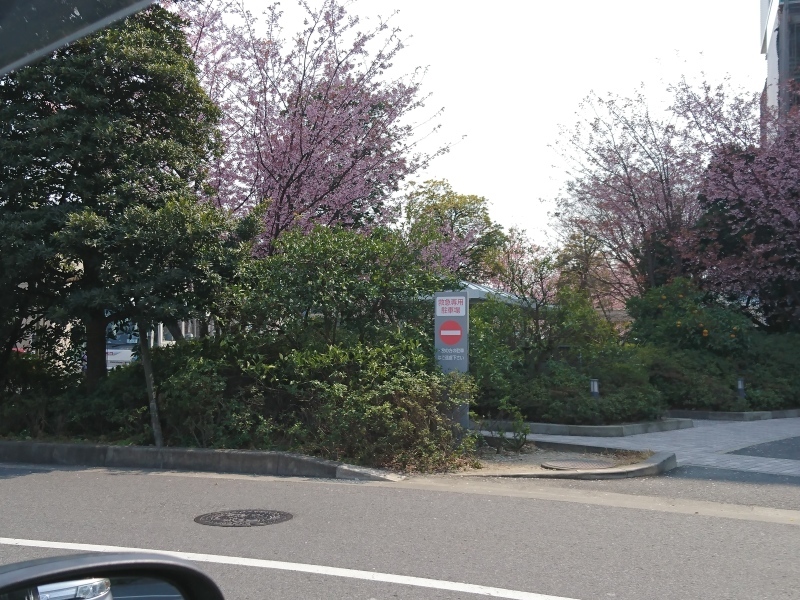 d0356213_14331649.jpg