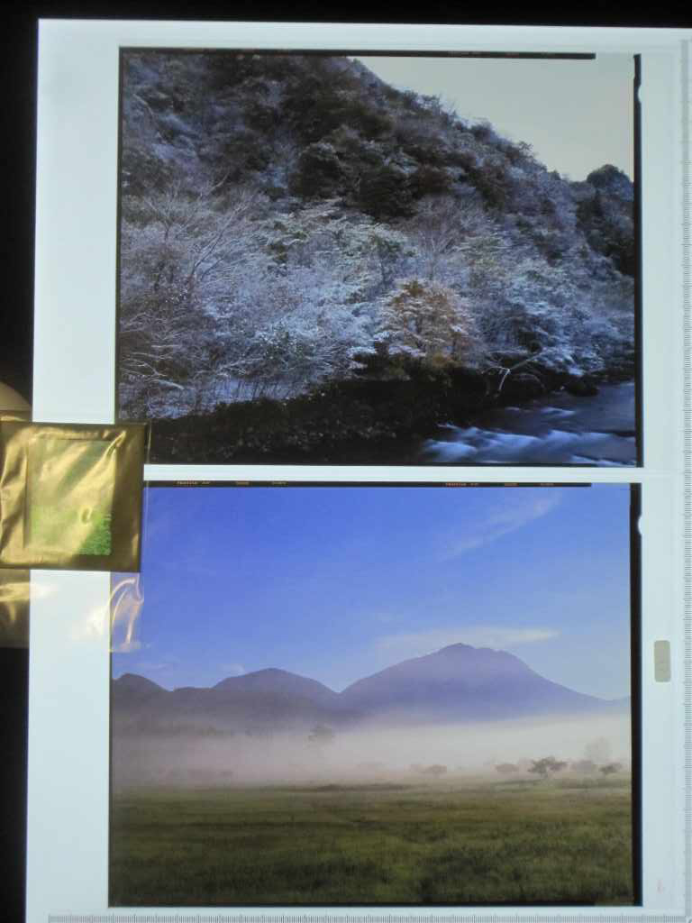 d0333714_20271223.jpg