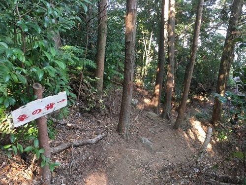 e0149215_22223117.jpg