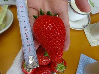 e0205917_14165000.jpg