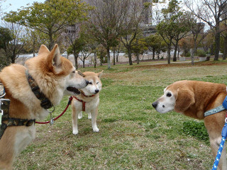 お気に入りの場所でのんびり_e0371017_11560014.jpg