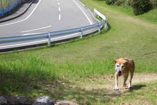 シャンプー後は農業公園へ_e0371017_11573520.jpg