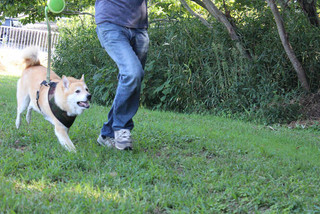 シャンプー後は農業公園へ_e0371017_11573643.jpg