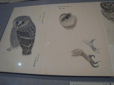 f0166824_22581369.jpg