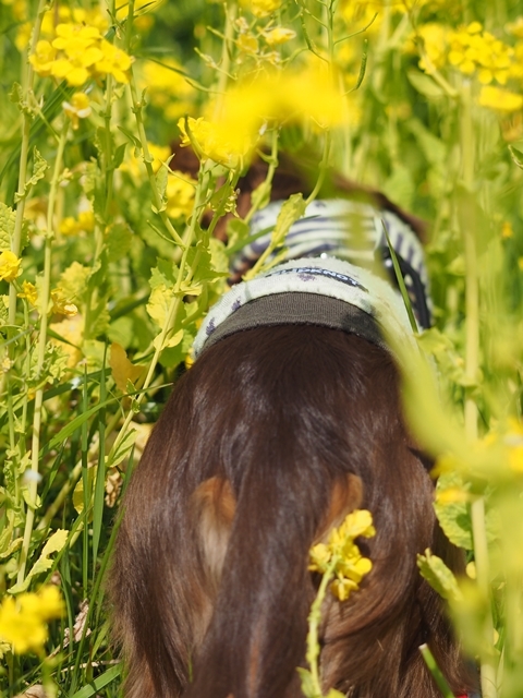 c0117831_20081471.jpg