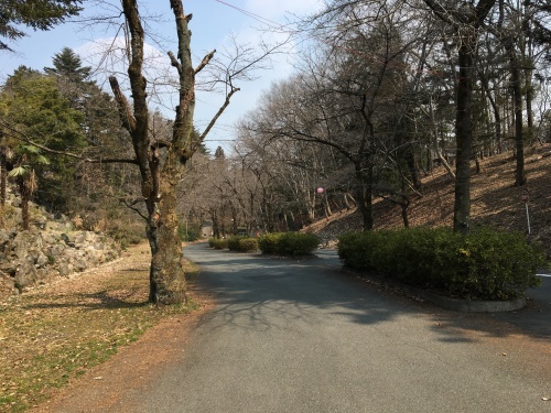 b0330040_16422383.jpg