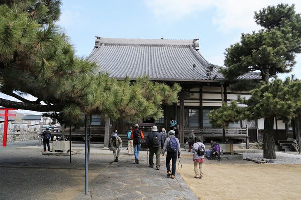 海性山真如寺／西浦山無量寺(がん封じ寺)_b0182547_17212928.jpg