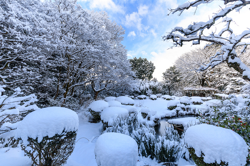 詩仙堂の絶景雪景色_f0155048_21291927.jpg