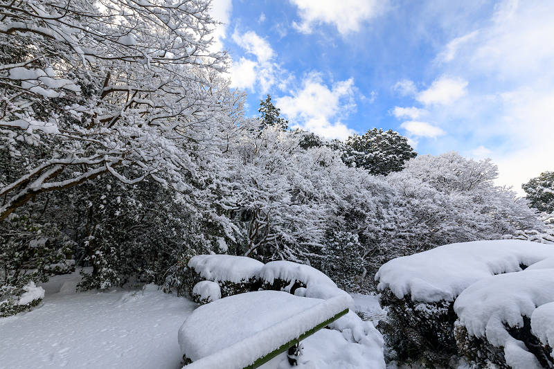 詩仙堂の絶景雪景色_f0155048_21301937.jpg